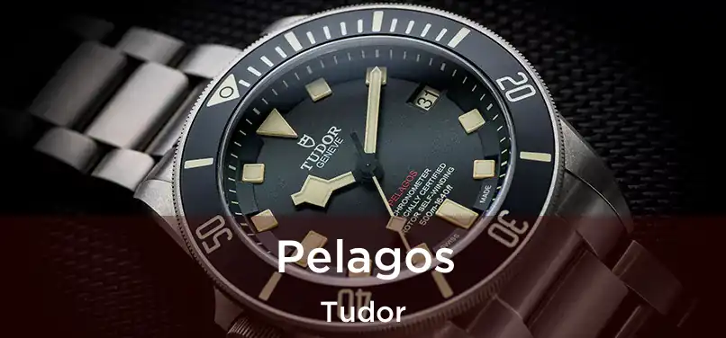  Pelagos Tudor
